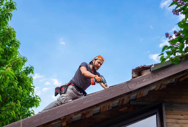 Best Asphalt Shingle Roofing  in Loch Lomond, VA