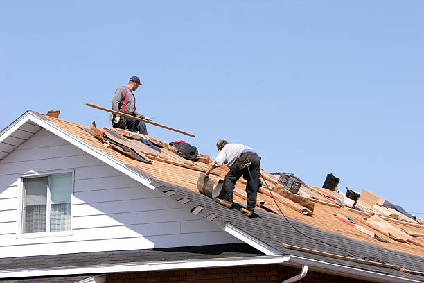 Best Roof Coating and Sealing  in Loch Lomond, VA